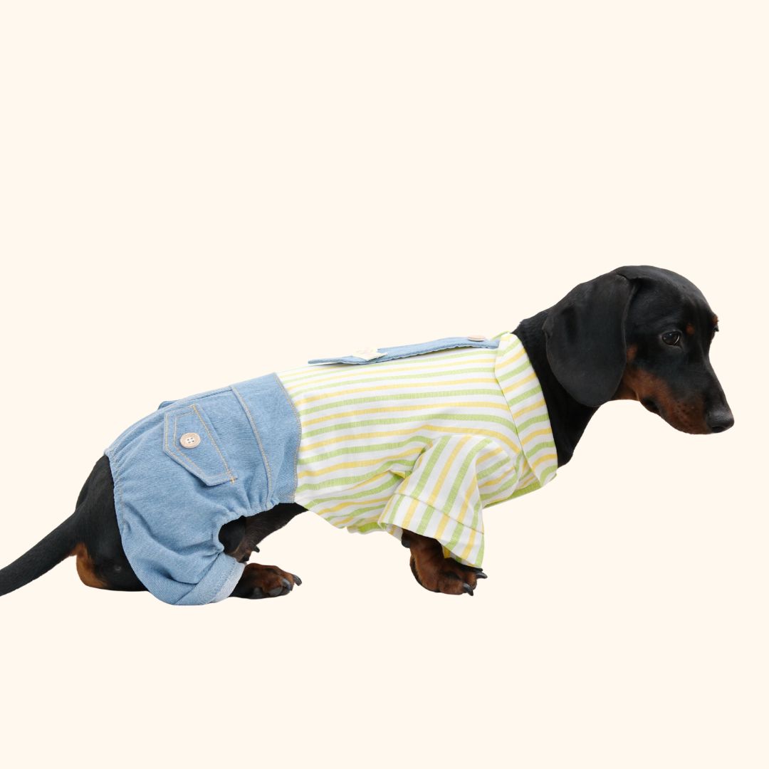Denim Tie Pet Jumpsuit