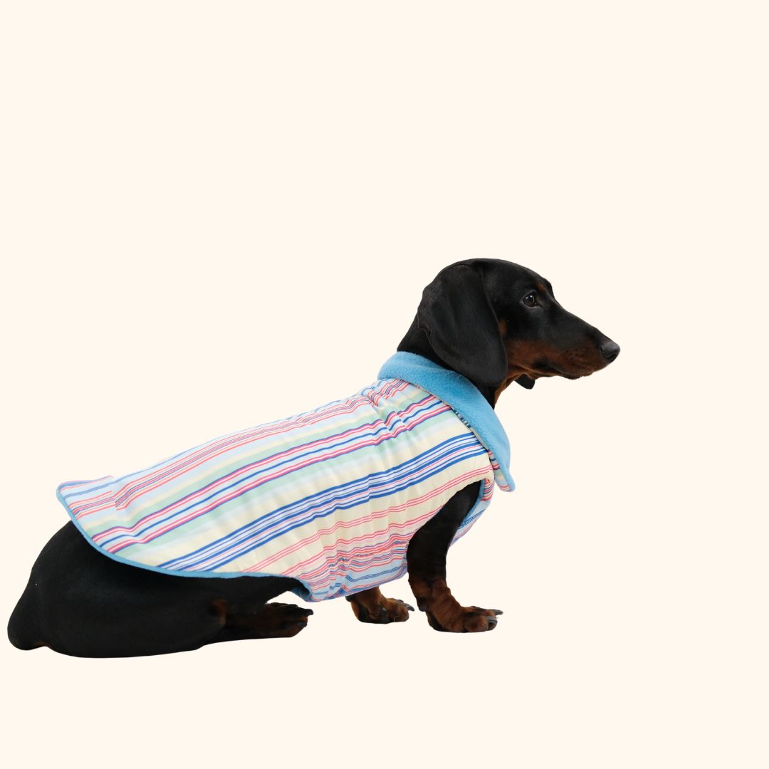 Rainbow Striped Winter Dog Jacket