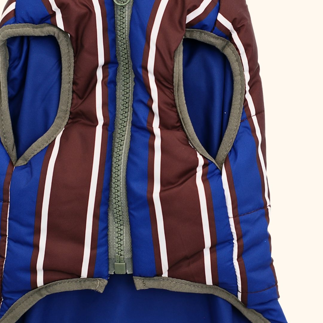 Colorblock Pet Winter Jacket