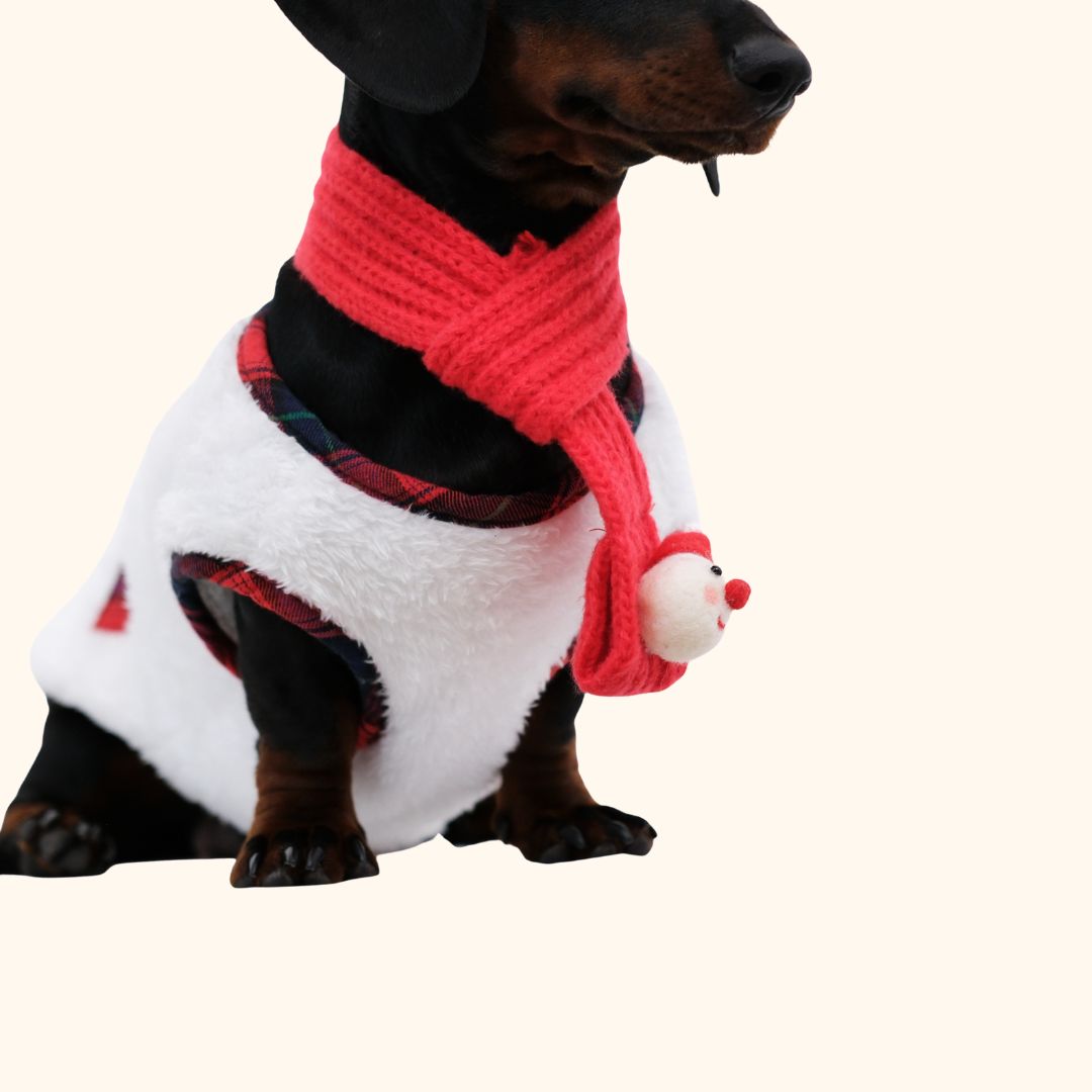 Christmas Dog Vest & Scarf Set