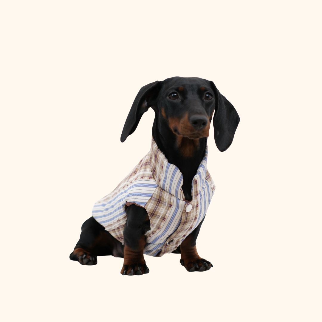 Cozy Striped Winter Dog Jacket