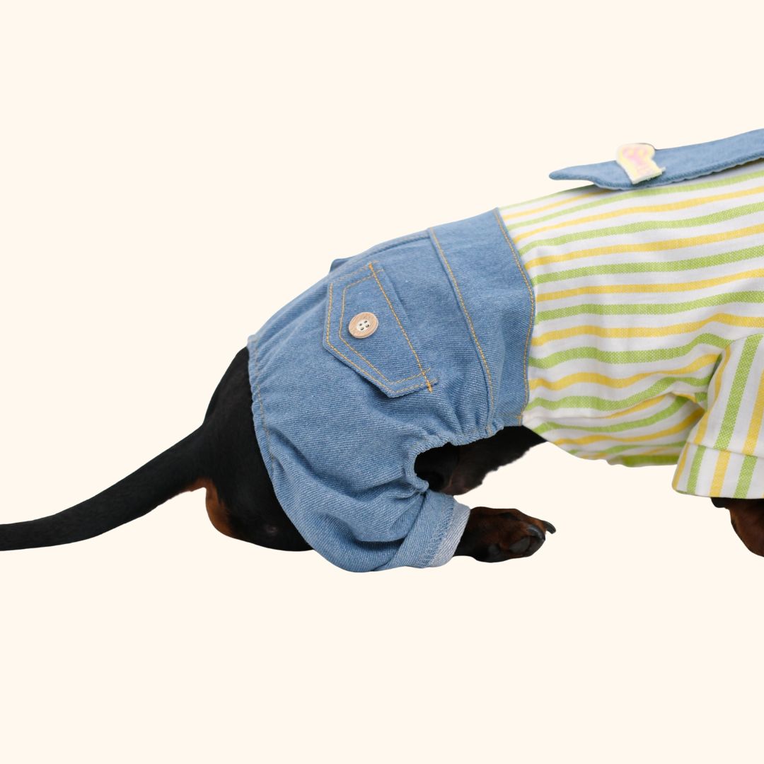 Denim Tie Pet Jumpsuit