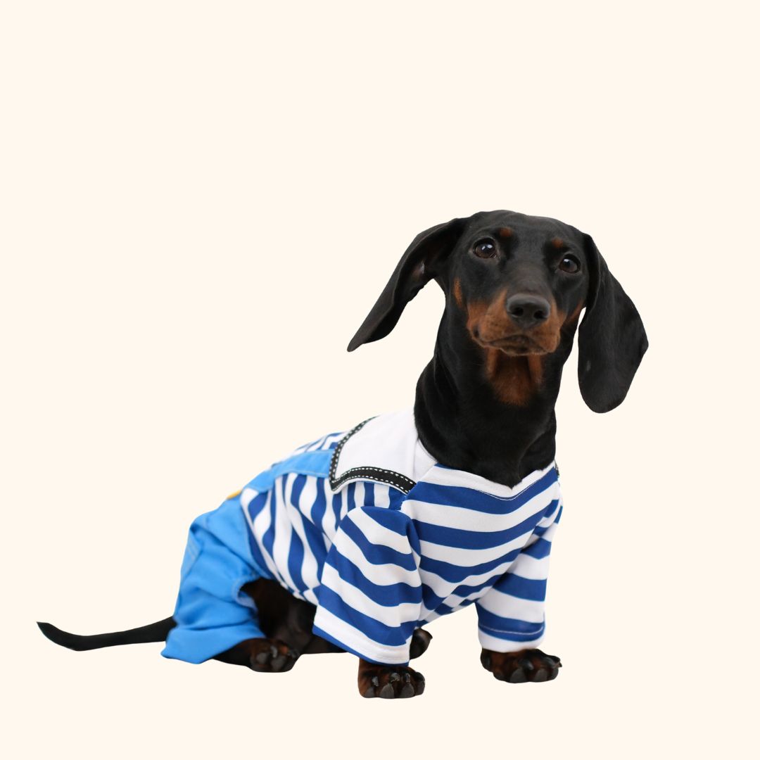 Sailor Pet Jumpsuit