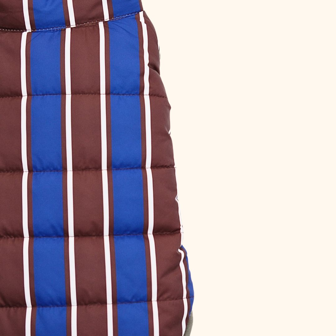 Colorblock Pet Winter Jacket