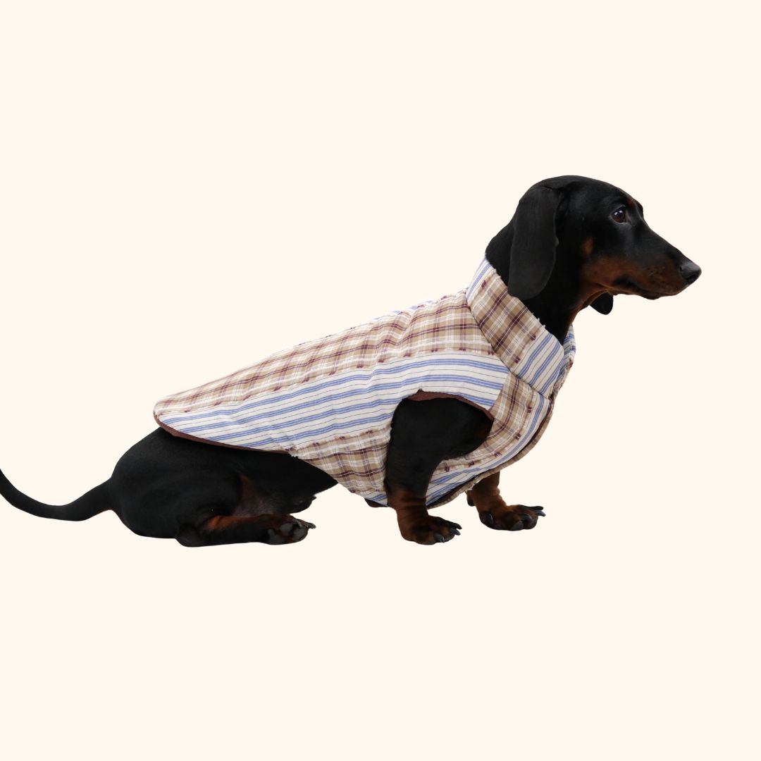 Cozy Striped Winter Dog Jacket