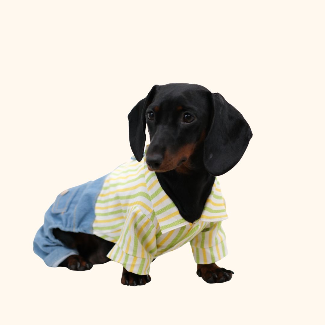 Denim Tie Pet Jumpsuit