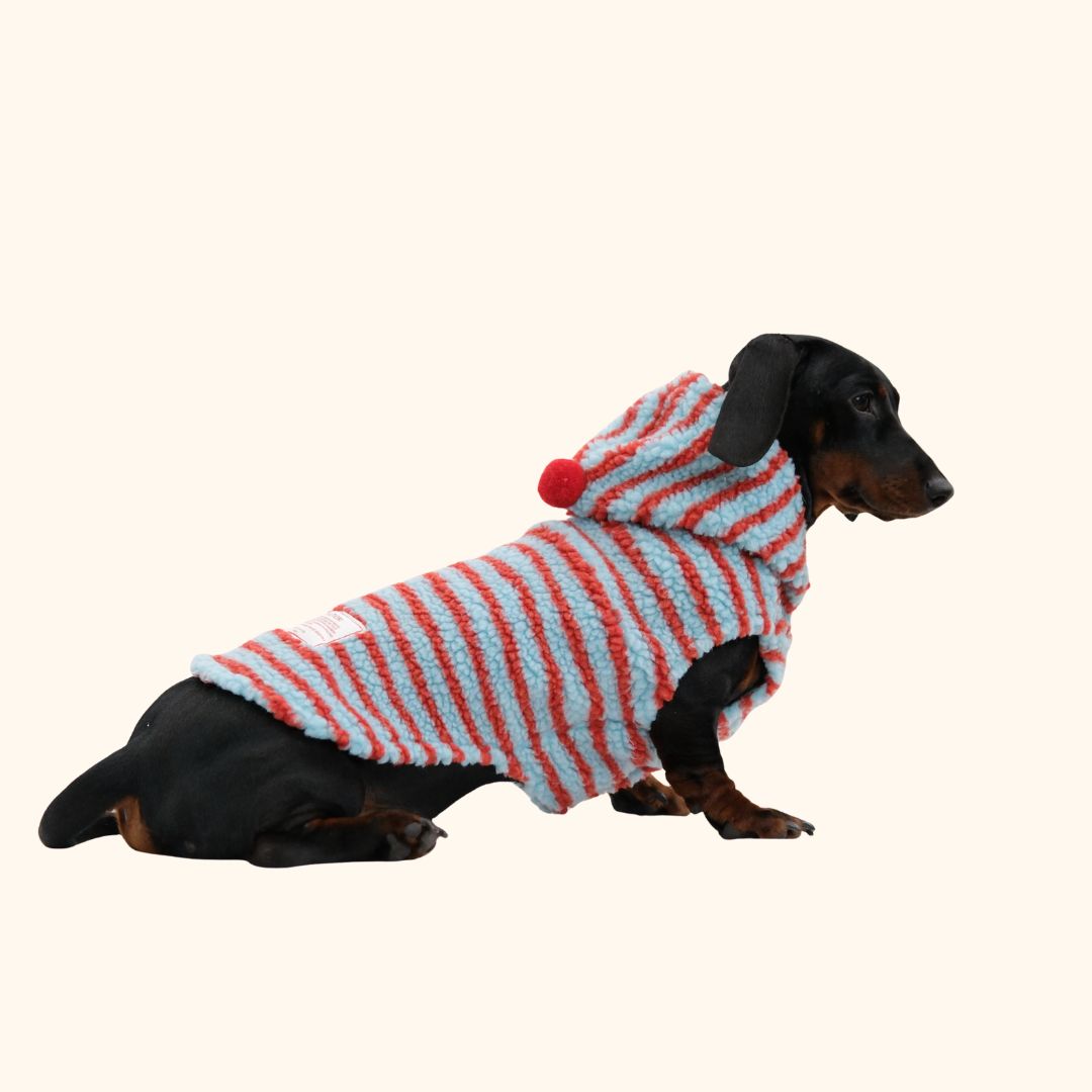 Christmas Hoodie Set