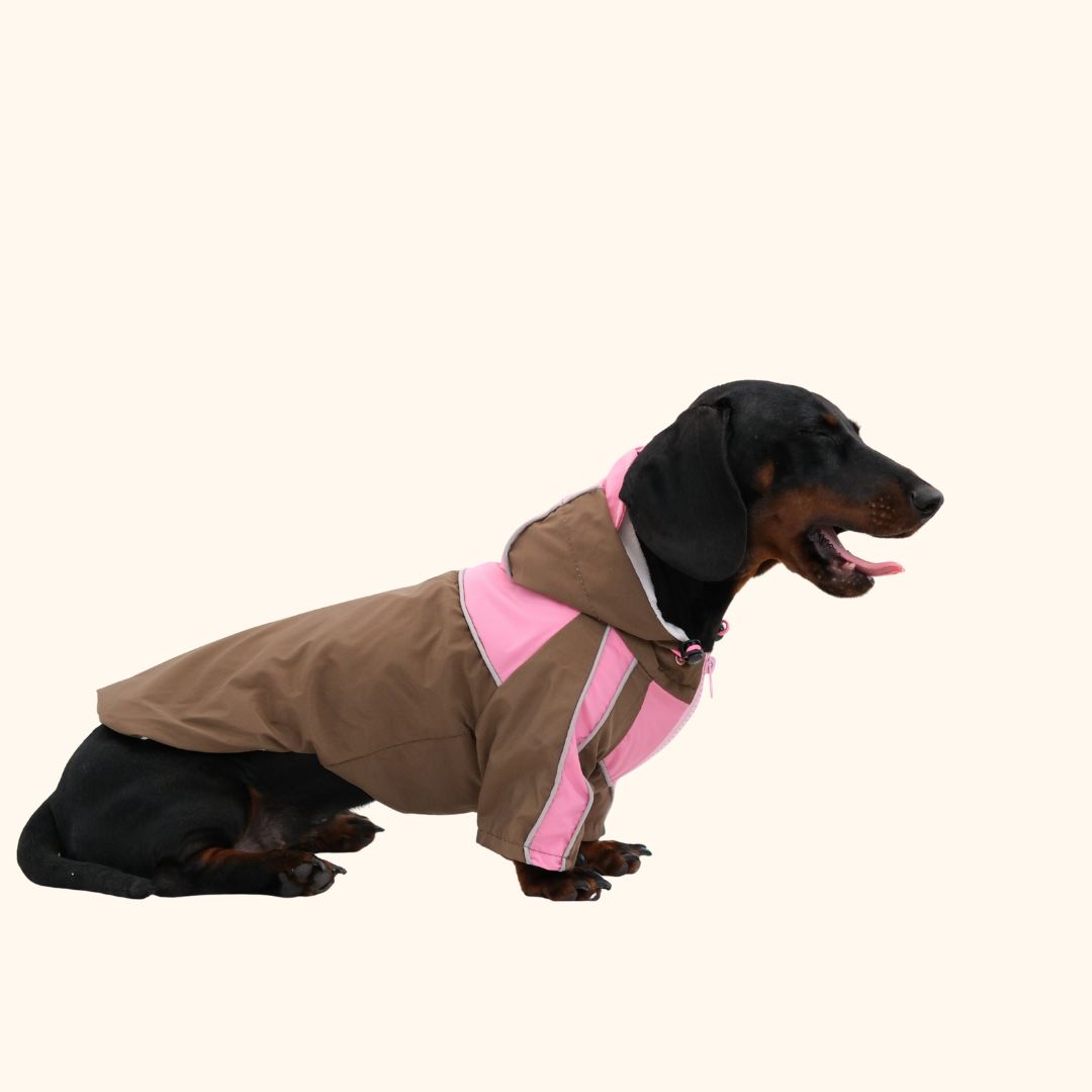 Outdoor Pet Raincoat