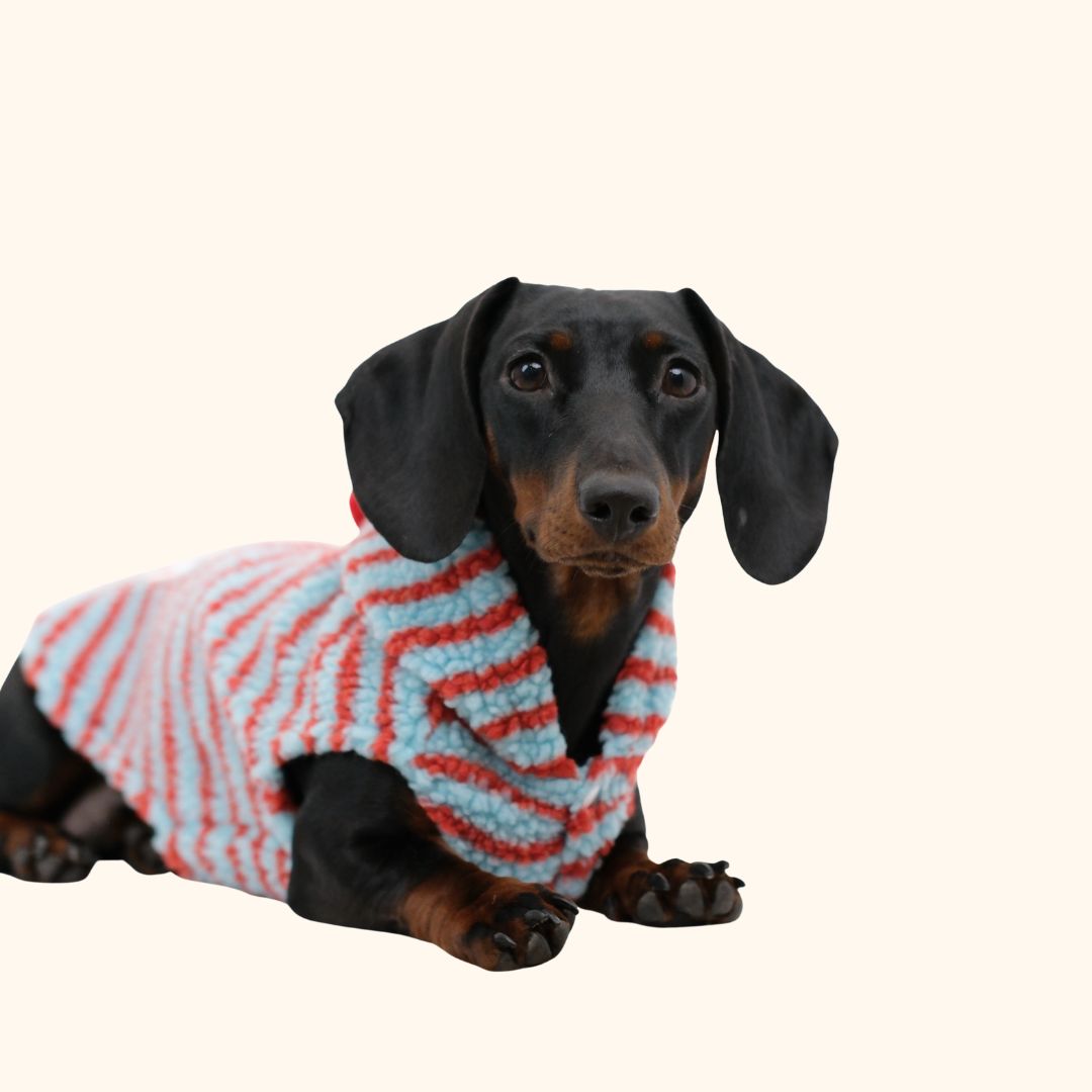 Christmas Hoodie Set