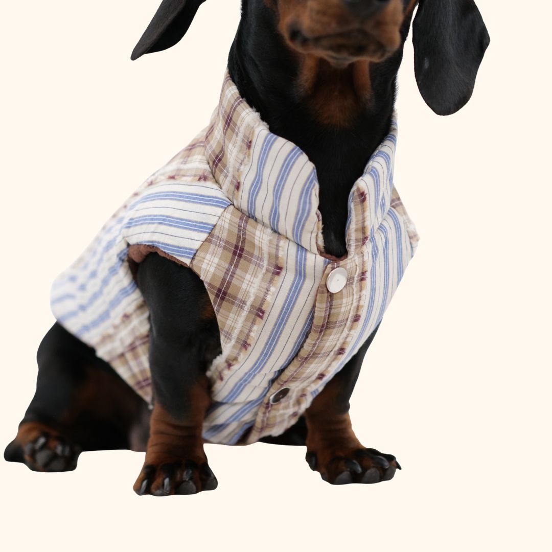 Cozy Striped Winter Dog Jacket