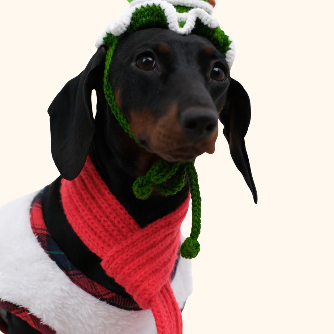 Christmas Dog Vest & Scarf Set