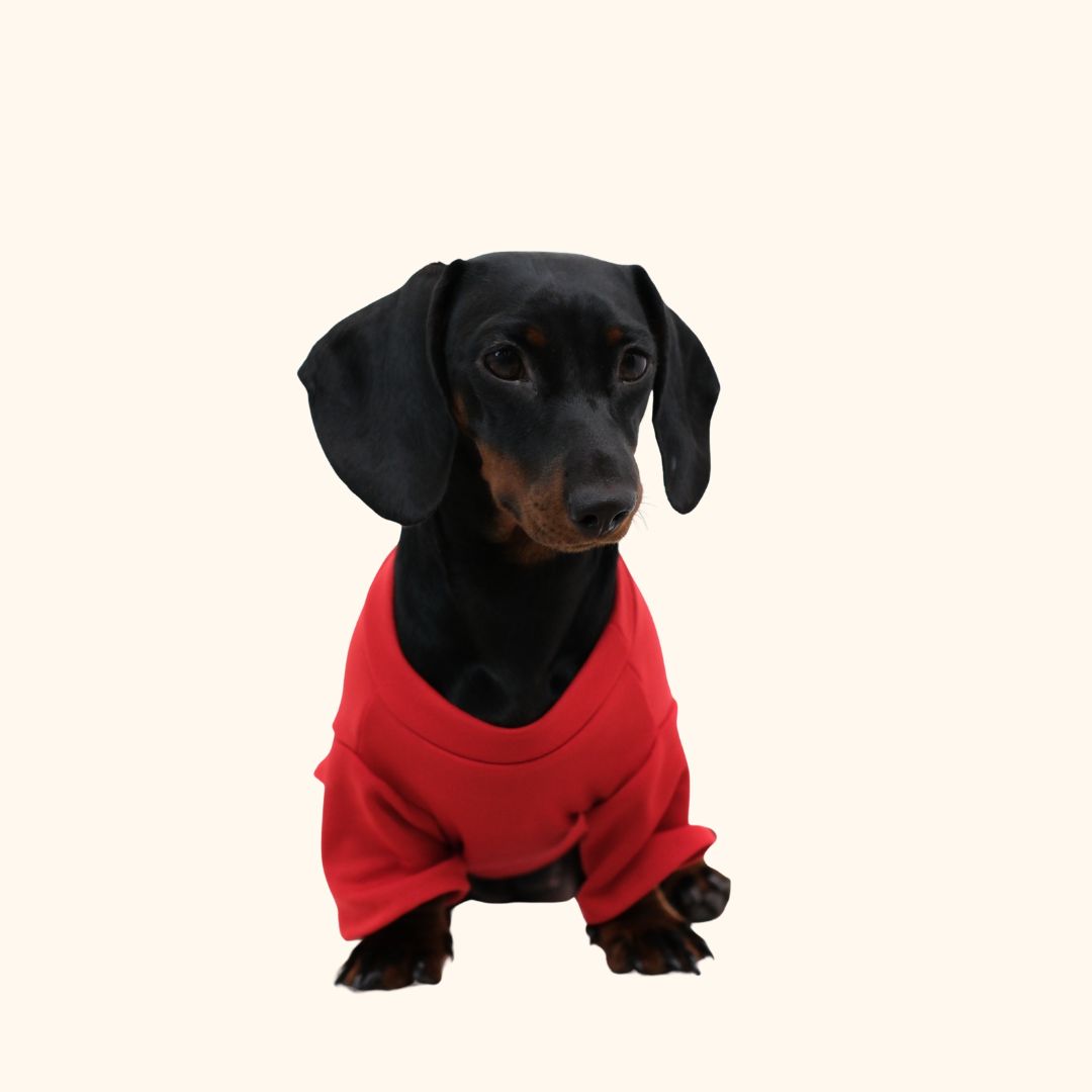 Christmas Hoodie Set