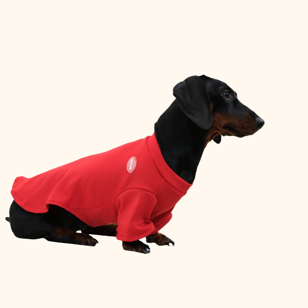 Christmas Hoodie Set
