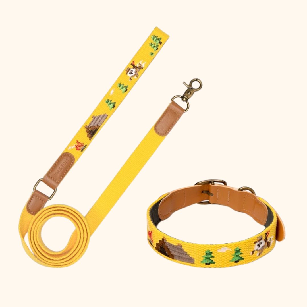 Adventure Series Embroidered Pet Collar & Leash Set